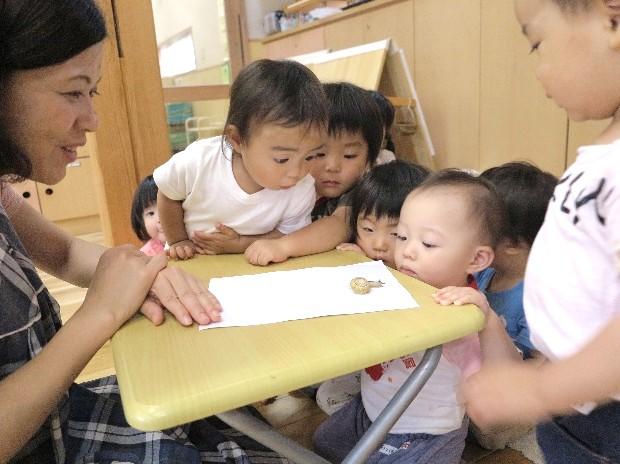 社会福祉法人東光会（おおふくこども園・ならの木保育園・どんぐりのいえ）