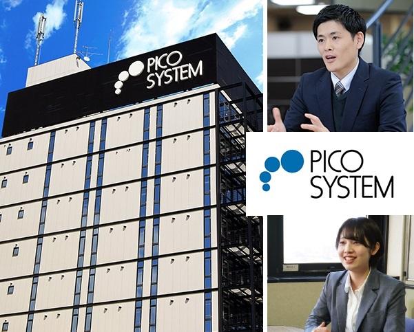 ピコシステム株式会社