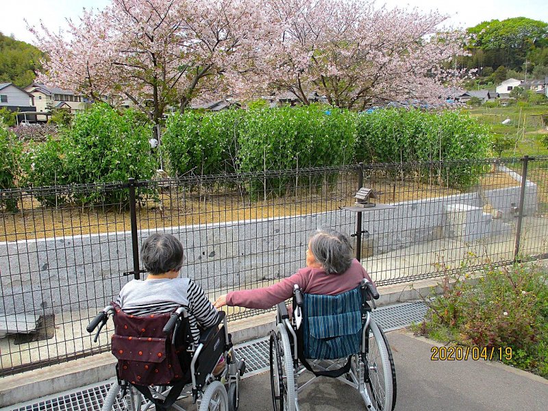 社会福祉法人P.P.P.