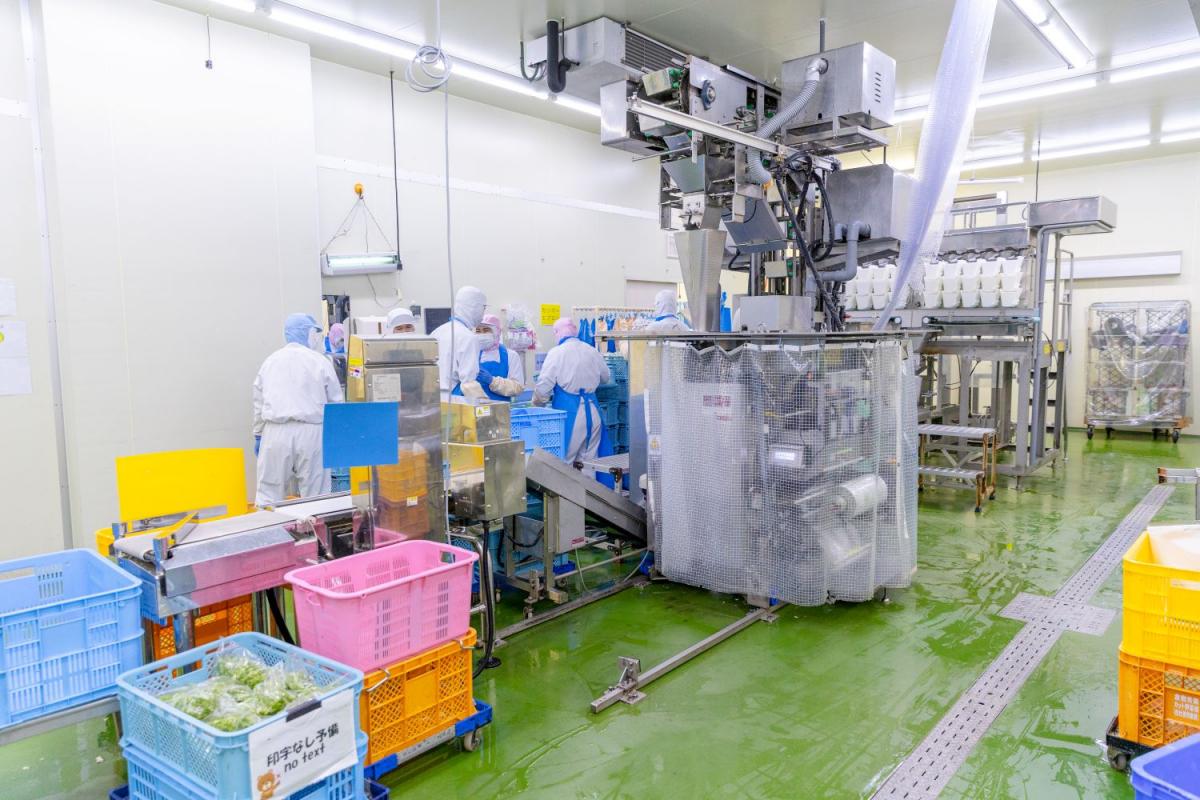 クラカグループ