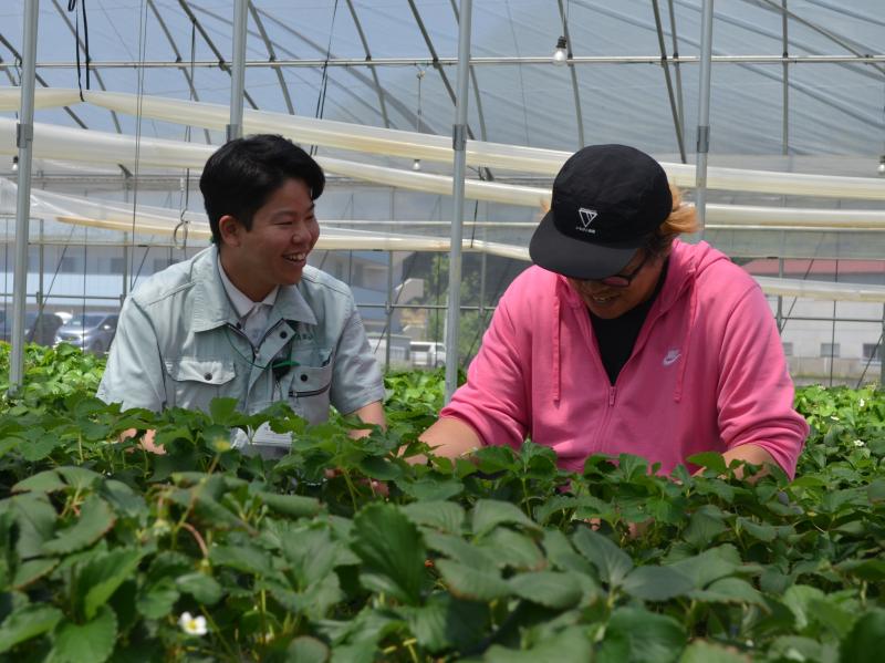 岡山市農業協同組合【JA岡山】